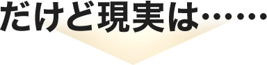 だけど現実は……
